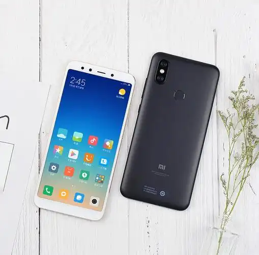 小米(mi) 小米6x 全面屏手机 曜石黑 全网通(6g 64g)