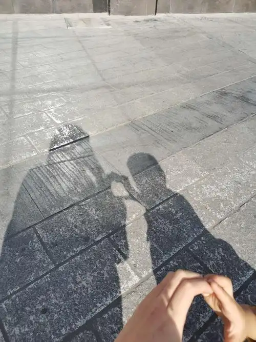 花朵幼儿园中班——探究科学活动:影子朋友