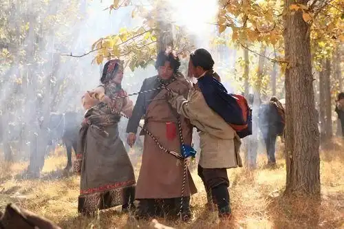 明星倾情创作的四十六集电视剧《西藏秘密》眼下正在央视八套火热播出