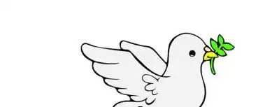 和平鸽的简笔画