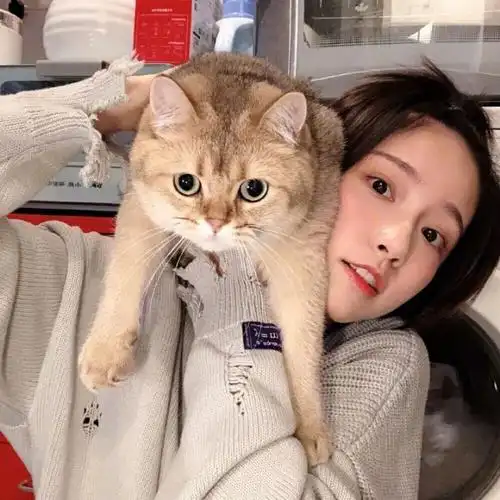 女生头像抱猫