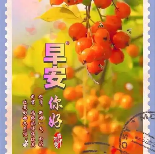 8张最新创意好看的早上好图片带祝福语 不用打字聊天的早上好问候祝福