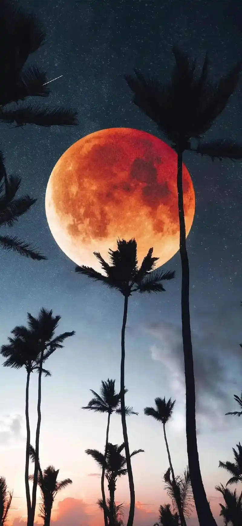 借来的图片确实好看