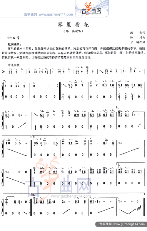 雾里看花(简易)_古筝谱_搜谱网