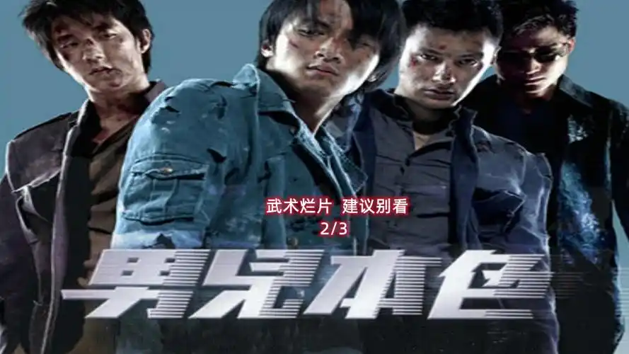 《男儿本色》妥妥烂片,建议不看