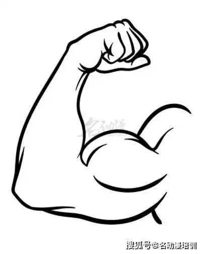 人物手臂绘画方法