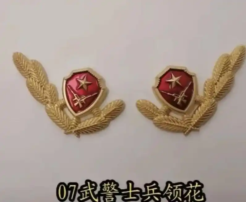 武警军装领花一共分六种.分别是武警警官橄榄枝领花,武警战士松枝领花