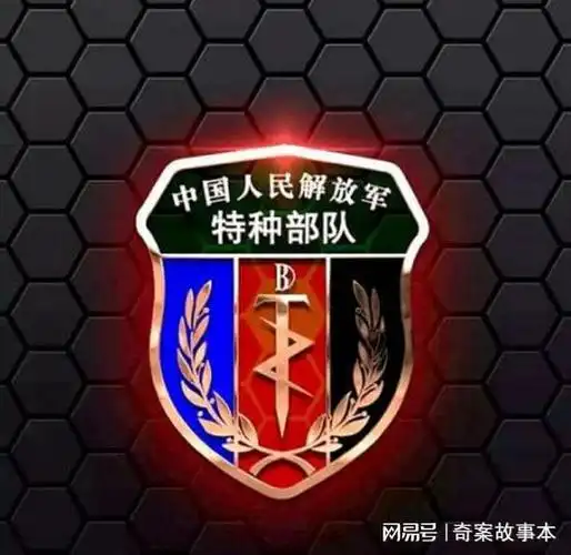 中国解放军特种部队的符号,详细讲解|作战部队|特种兵|臂章|奥运会