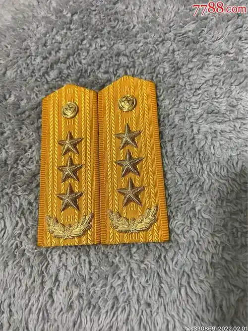 87式初期wj武上将鉴赏退役作废