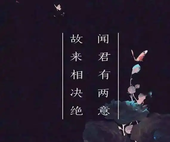 闻君有两意故来相决绝是什么意思