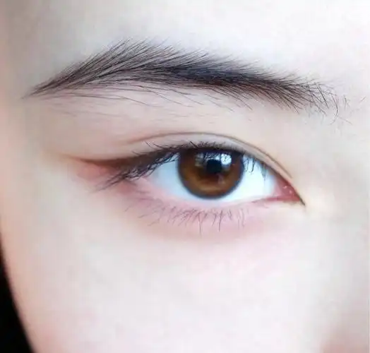 常见的六种眼型常见的几种眼型