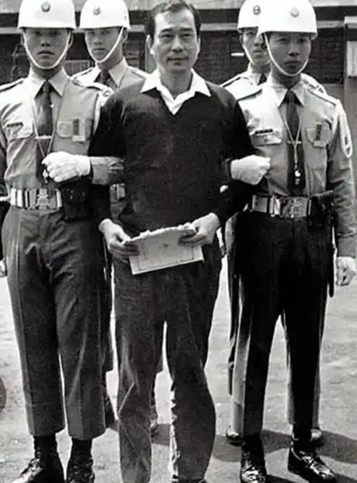 1984年,黑帮的一次暗杀行动终结蒋家政权,蒋经国:蒋家不再继任