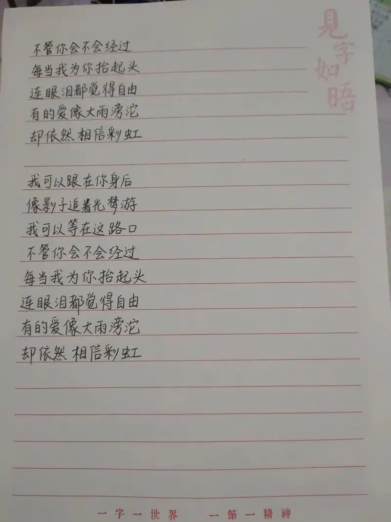追光者 歌词分享 手抄 我可以跟在你身后 像影子追着光梦游 我可以等