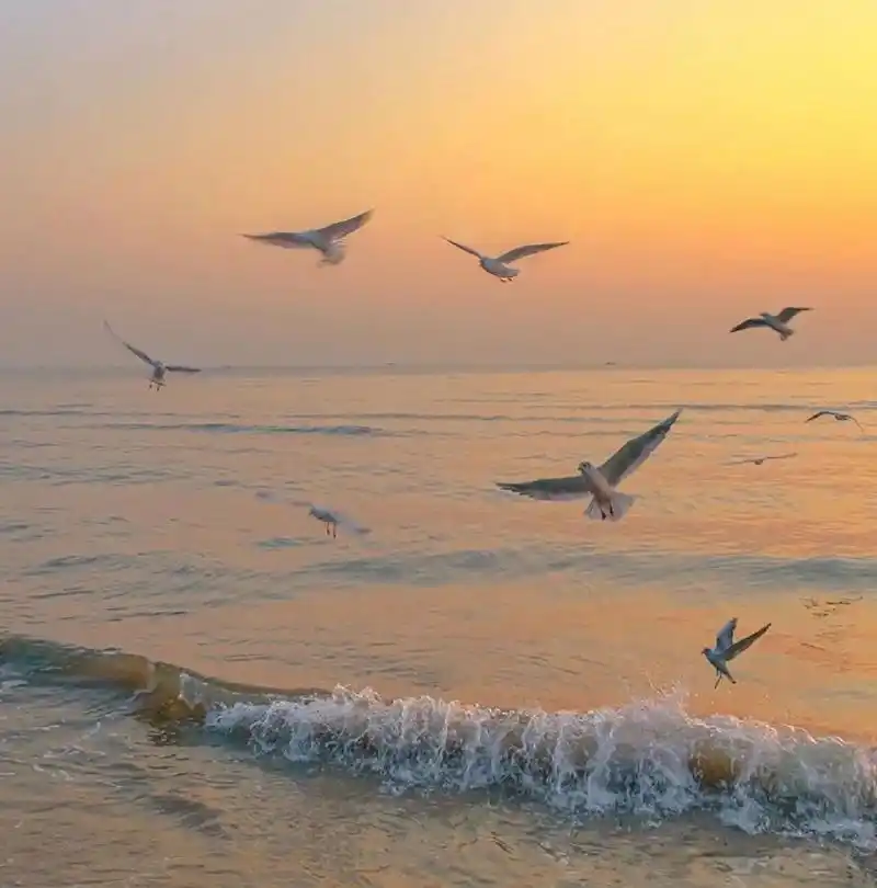 说起我用过的社交头像,我最爱用大海背景作为社交头像了,充满海纳百川