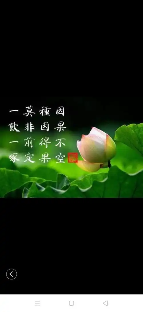 因果属于科学吗