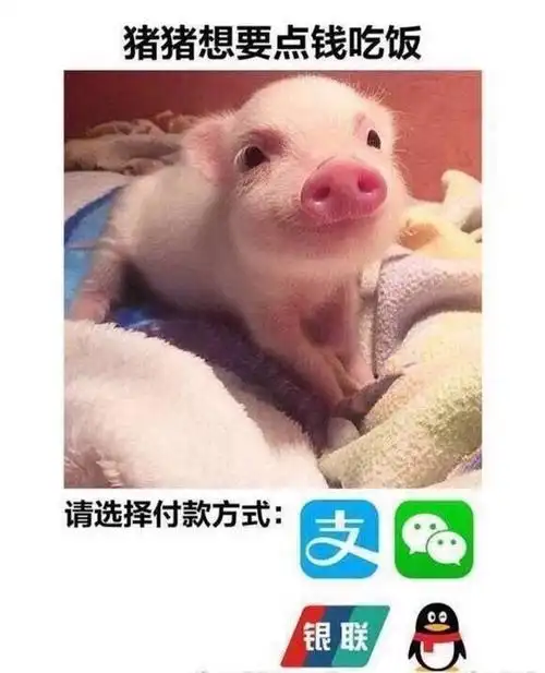 求找爸爸要钱的表情包