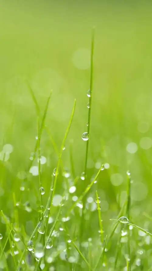 540_960竖版 竖屏