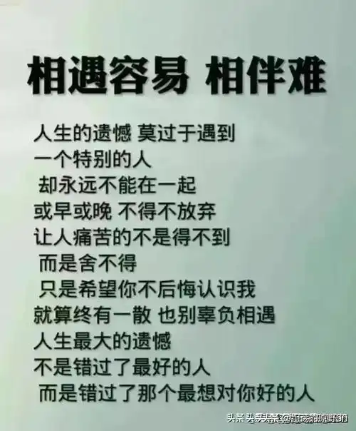 人生感悟总结得不是一般的牛太经典了