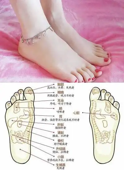 而若是脚底长有痣点的话,则一定是颗吉痣,代表着不错的运势,以及好运