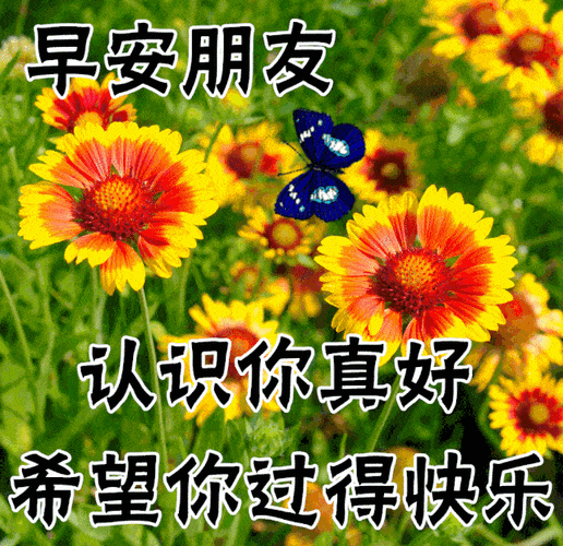 早上好问候美图,早安问候语句.