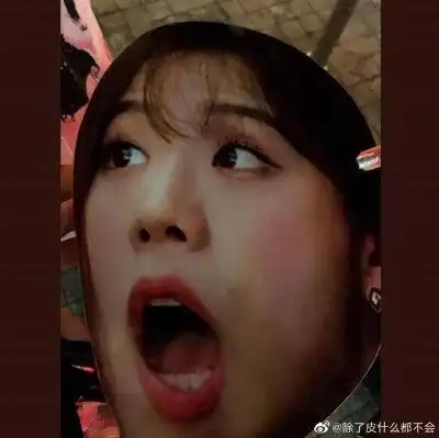 当jisoo看到自己的表情包随后变成表情包的故事