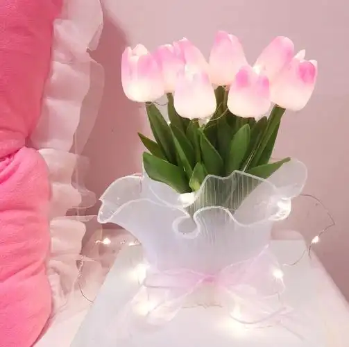 美哭了郁金香真的好好看温柔又仙气飘飘