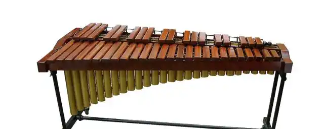 西洋打击乐器有哪些乐器