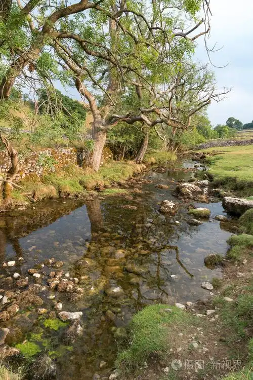 在约克郡山谷国家公园马勒姆湾周围的乡村景色