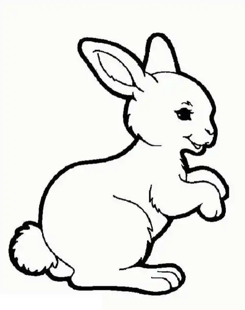 60张兔子线稿