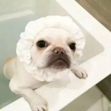 可爱沙雕情侣头像图片大全高清逗比的微信沙雕情侣头像