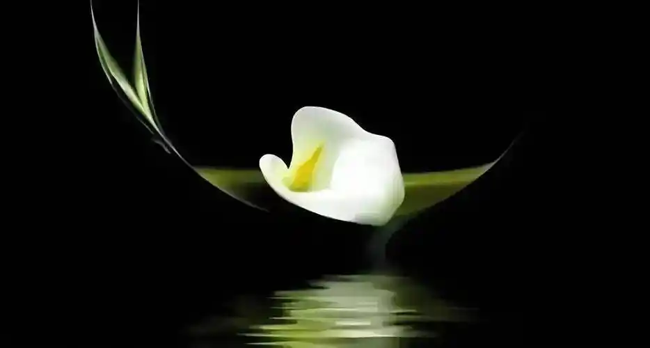 修一颗淡然之心_生活_生命_是一种