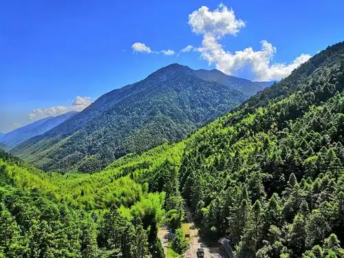 武夷山原始森林探险