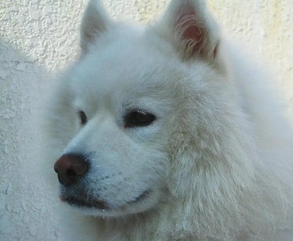 照片修图,乐在其中.#醒图 #居家有乐  - 抖音