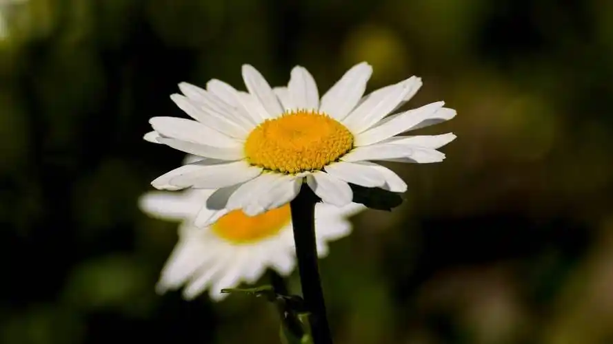 男人不爱的3个迹象,很明显,别再傻傻付出了_生活_男友_一个人