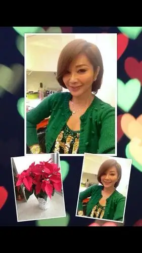 陈美凤 meifen chen~圣诞节|微刊 - 悦读喜欢