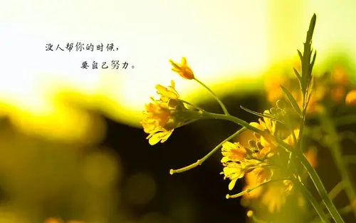 健身的心灵鸡汤经典语录