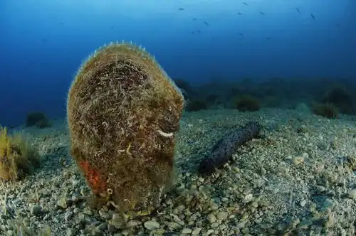 权: 无 限制信息: 详情联系当地客服 物权: 无 版权所有: 1997-2010