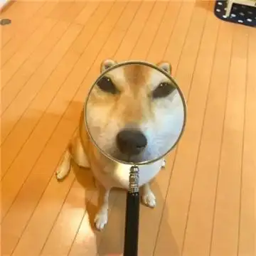 搞笑动物萌宠情侣头像一人一张心动是一个人的措手不及