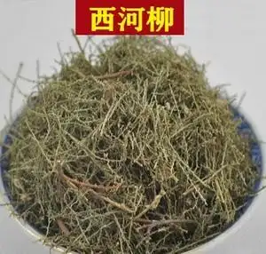 中药材 西河柳500克 怪柳 山川柳 柽柳 垂丝柳 西湖柳 红柳阴柳草