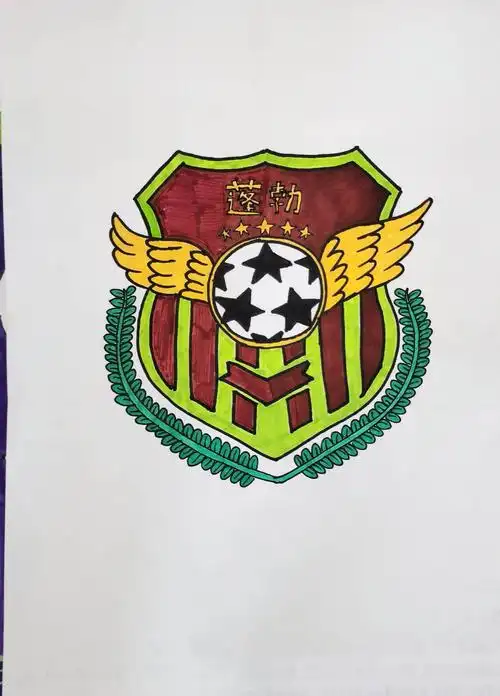 赛前,我们设计了属于自己的队徽—蓬勃.