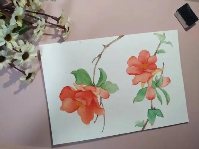 水彩古风石榴花