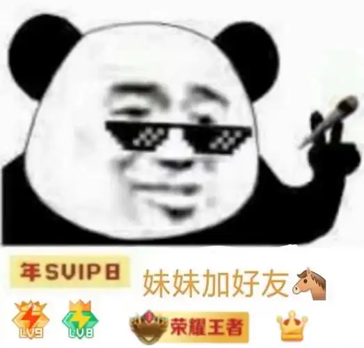 svip 王者荣耀 黄钻 蓝钻 各种会员 妹妹加好友吗(熊猫头)_svip_黄钻