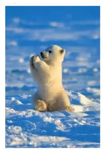 2020鼠年新冠不期而至,宅家网络抗疫