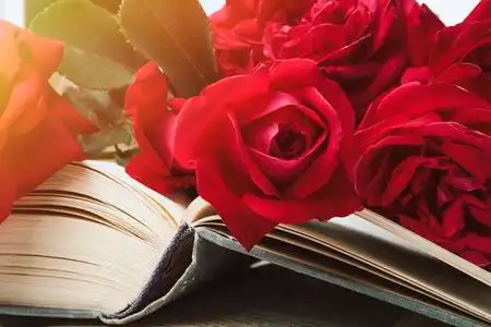 轻石红色玫瑰在一本开放的书上的轻石背景. 浪漫主义文学的概念.