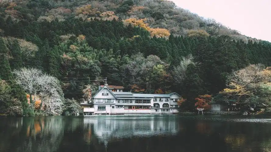 壁纸 金鳞湖,湖,公园,房子,树木,日本