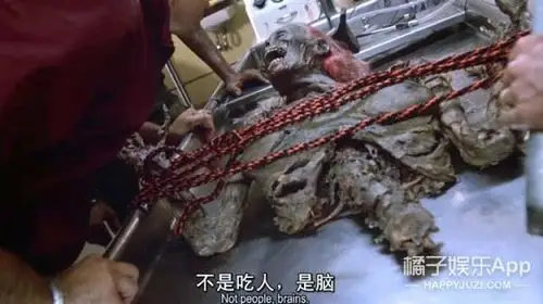 因为能感到腐烂的痛苦,所以要通过吃脑来减轻痛苦(第一次发现僵尸还能