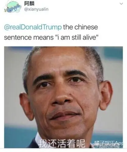 川普发推特说中国偷无人潜航器结果评论区被表情包攻陷了