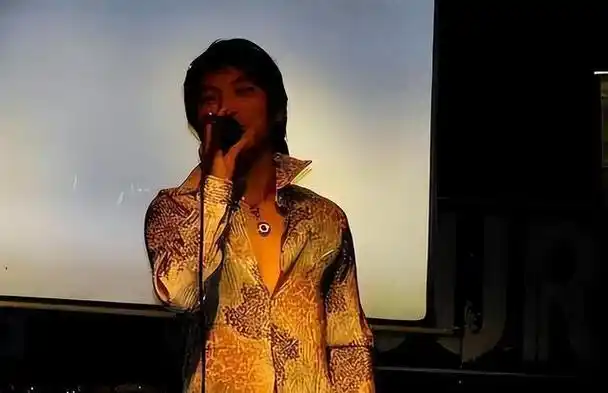 春晚一曲成名,却被伴舞恶意伤害毁容,如今靠卖马桶为生