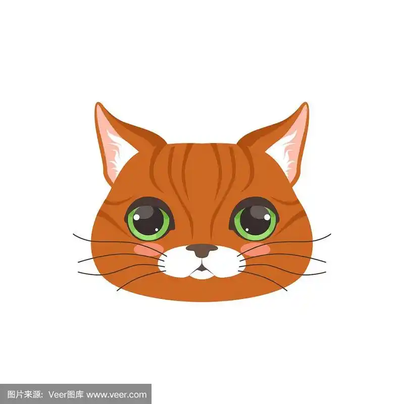 可爱的红猫头滑稽的卡通动物人物