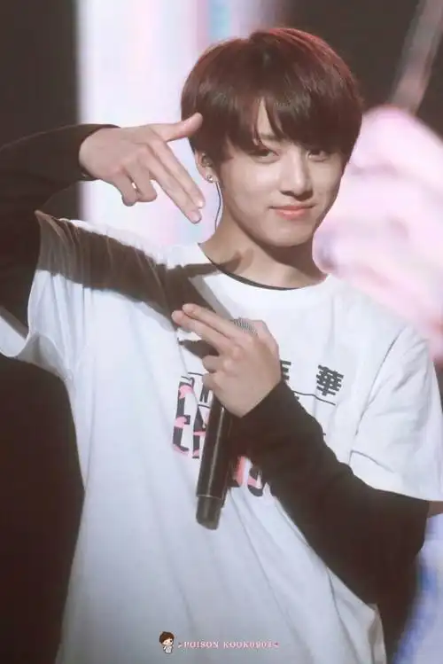 黄金忙内 果果 田果果 田柾国